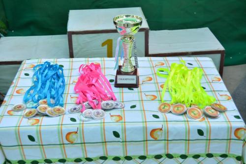 Sports Day 4
